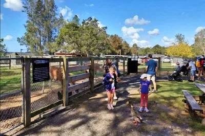 A Fairy-Tale Healing Animal Farm Near Sydney: Ride a Small Train and Feed Camels