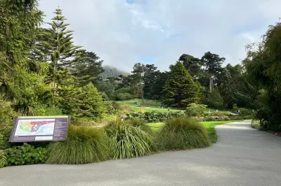 San Francisco Botanical Garden
