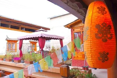 老阿姨獨自麗江旅行，愛大海也愛草原，網友：梁靜茹給的勇氣？
