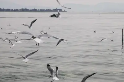 雲南東南線自駕遊