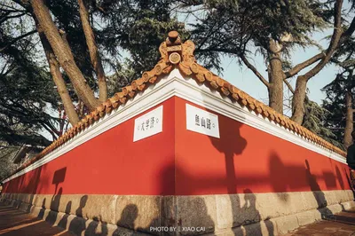 大學路
