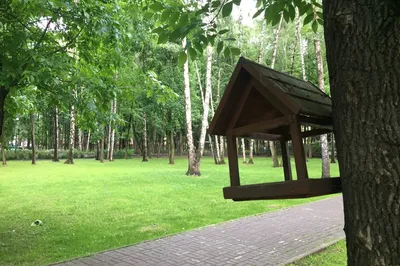 Babushkinskiy Park Kul'tury I Otdykha