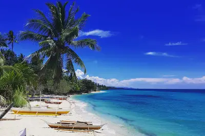 Tree Sunset Beach Resort