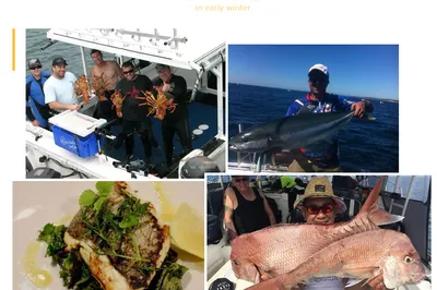 Boat Fishing for Snapper (Pink) | Melbourne, Australia