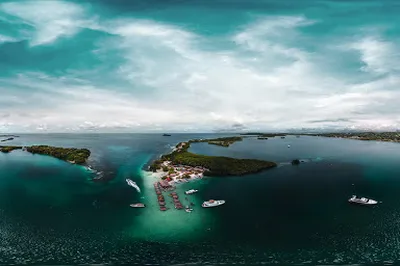 Cholón (Islas del Rosario)