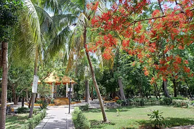 Parque Gaia