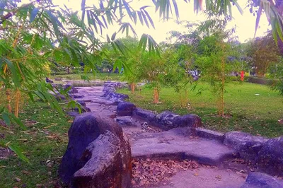 FMI City Garden