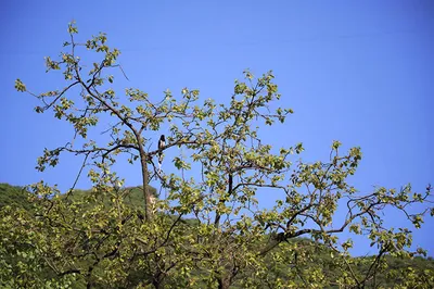 Where to Go for a Spring Outing? Just One Hour from Xi’an: Taiping Wanhua Mountain, with Verdant Hills, Clear Waters, and Boundless Scenery
