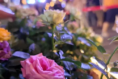 兜爺看世界⑥——來青島吧，攀一座山，愛一座城，追一個夢