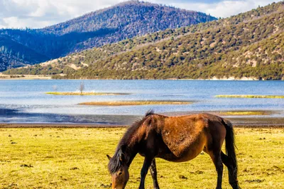 Potatso National Park