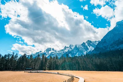 Spruce Meadow