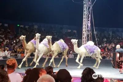 Universoul Circus