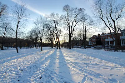 Parc Outremont