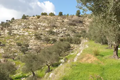 Nahal Gilo