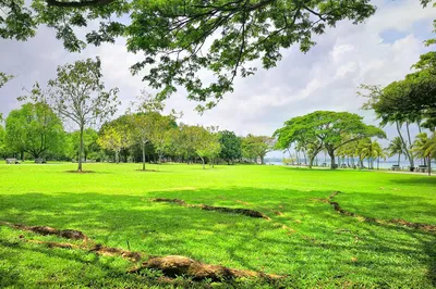 Pasir Ris Town Park