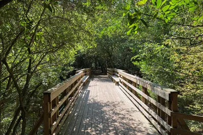 Edith L Moore Nature Sanctuary
