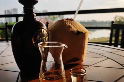 Distiller's Grains Vinegar, Coconut Milk Chicken: A Strong Hainan Breeze by the Yong River