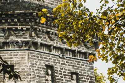 This pagoda in Hubei is extremely rare, hailed as 'the only one in China'. Out-of-town visitors think the pagoda has sunk.