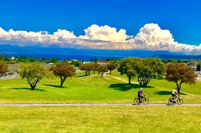 Rangatira Park Lookout