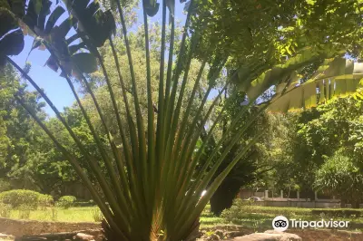Botanical Gardens