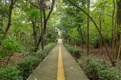 Hutan Kota Srengseng