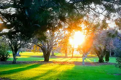 Takapuna Golf Course