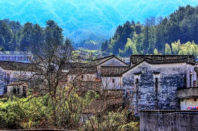 Shang Village in the Deep Mountains, with its Mottled White Walls and Black Tiles, Time Seems to Have Lingered in a Distant Era