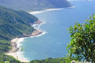 Access Trail of Wild Beaches
