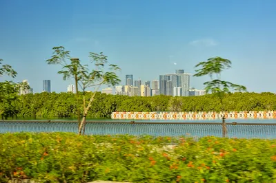 Eastern Mangrove Park