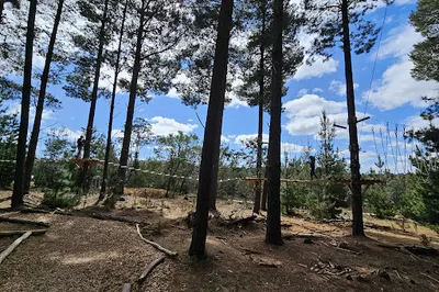 Treetops Adventure Canberra