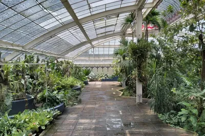 Jardín Botánico del Bosque de Chapultepec