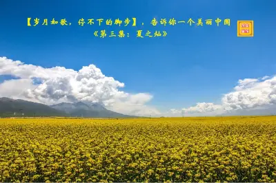 【歲月如歌，停不下的腳步】，告訴你一個美麗中國《第三集：夏之燦》