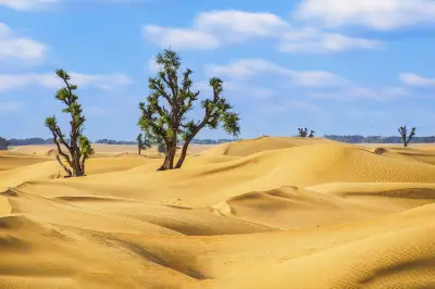 Dubai Desert Conservation Reserve