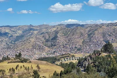 Zona X