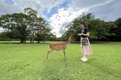 二刷大阪（奈良+環球影城+京都）