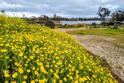 Murray Reservoir