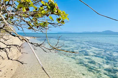 Calypso Reef Cruises