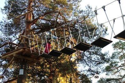Adventure Park Korkee