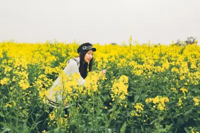 与金花相会，开启花样高淳之旅