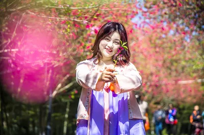 湖北賞花別再傻乎乎去武大，東湖櫻園人擠人了，武漢花鄉茶穀人少花更美