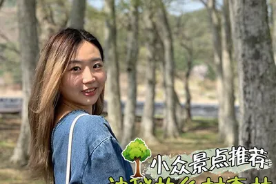 🌟2021 Jeollabuk-do Promotion King [Country Forest]🌟