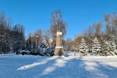 Garden "Vasileostrovets"
