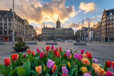 Dam Square