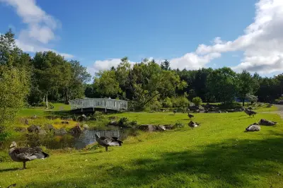 Laugardalur Park