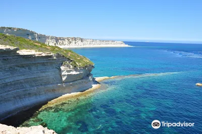 Xrobb l-Għaġin