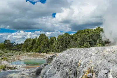Whakarewarewa Thermal Reserve
