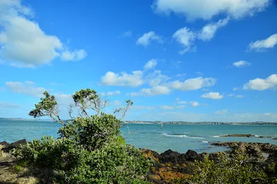 Rangitoto Summit