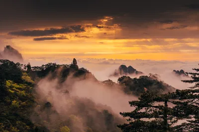 妙想黃山│大千世界一方黃山，十二時辰萬般禪意