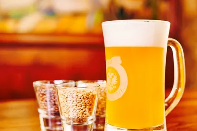 C.K. Browar | Bar & Restaurant | Est. 1996
