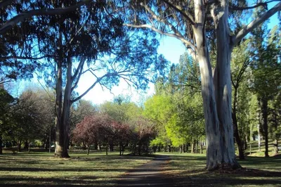 Telopea Park